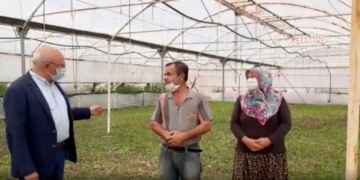 Çiftçi zarar ediyor! Kasalarca yeşillik çöpe gitti