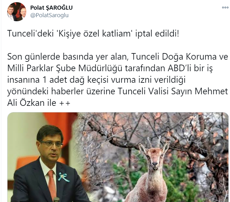 polat.png