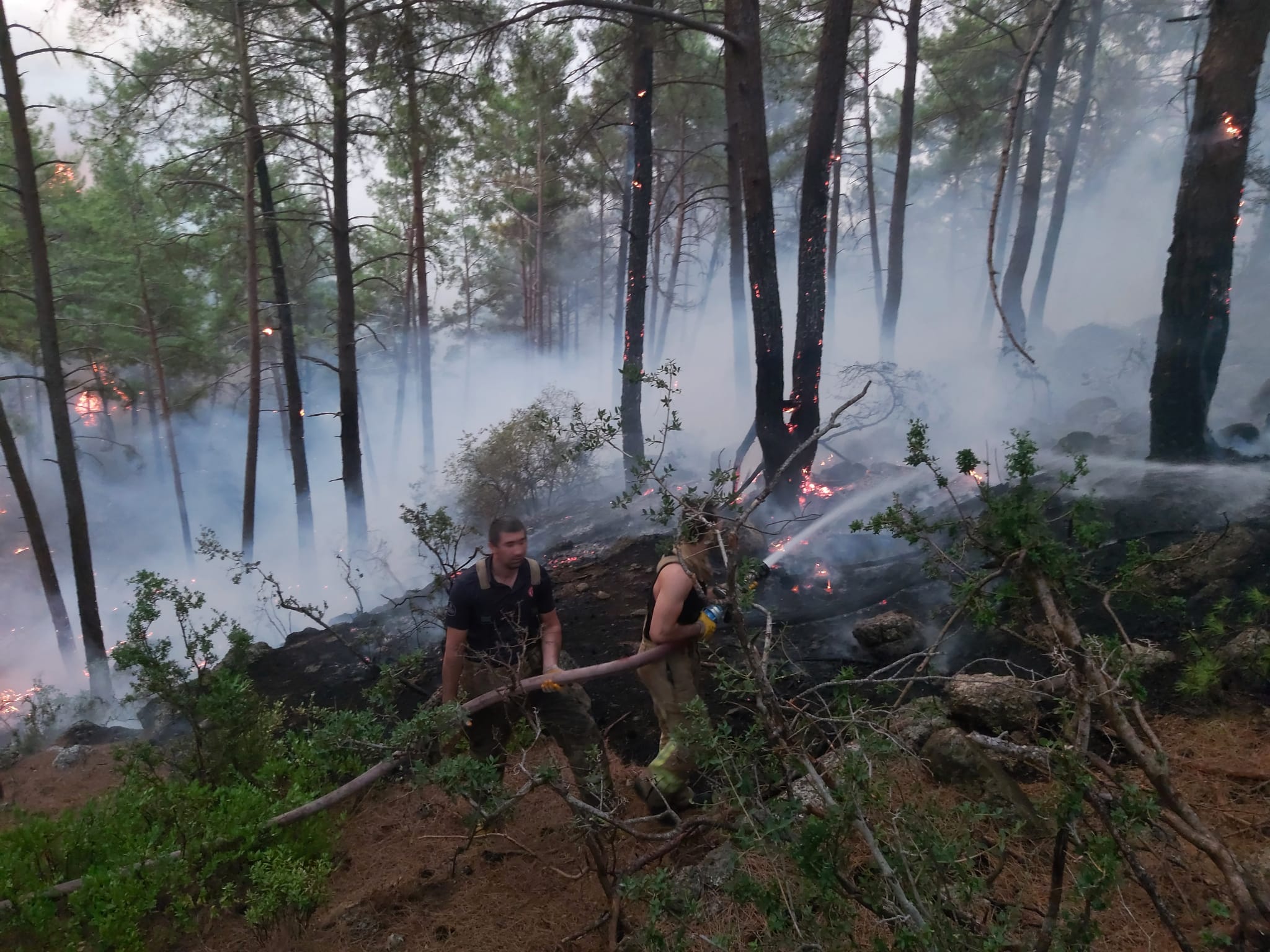 belediye-ekiplerinin-orman-yanginlari-ile-mucadelesi-suruyor-2.jpg