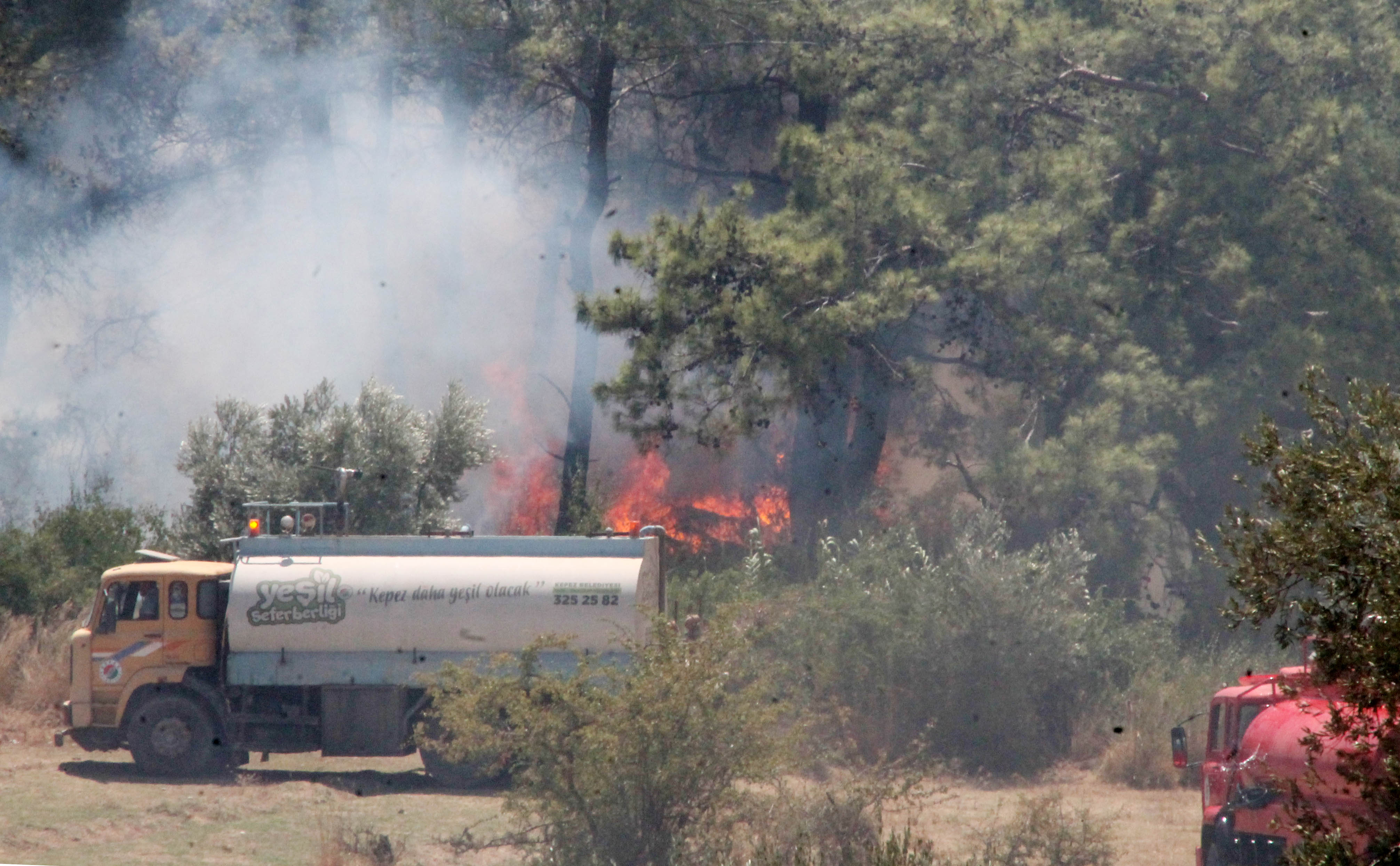 manavgatta-orman-yangini-2-8224-dhaphoto10.jpg