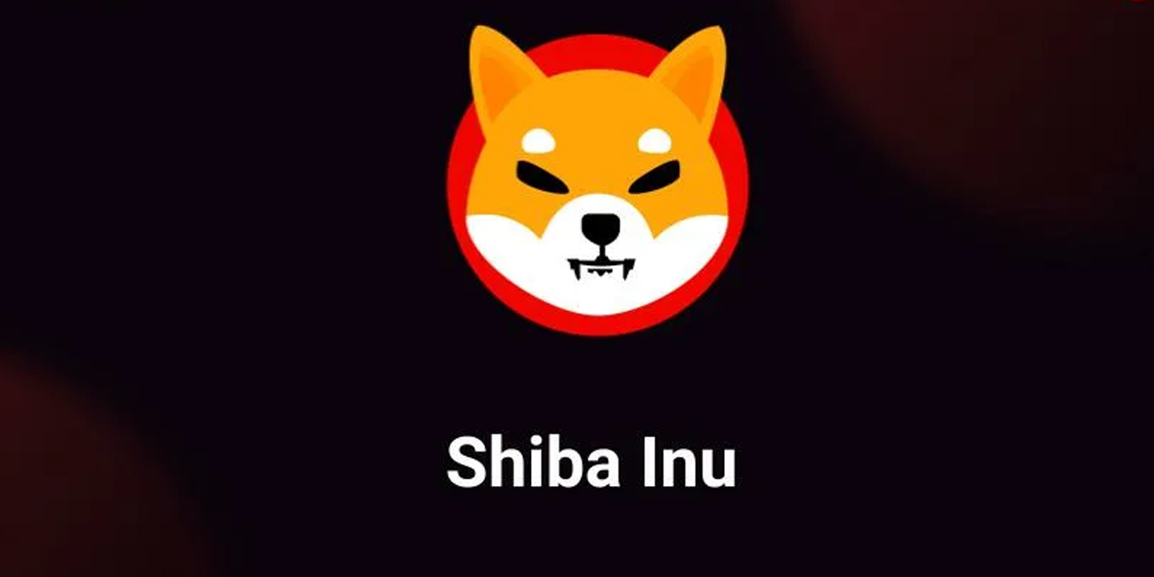 shiba-inu.jpg