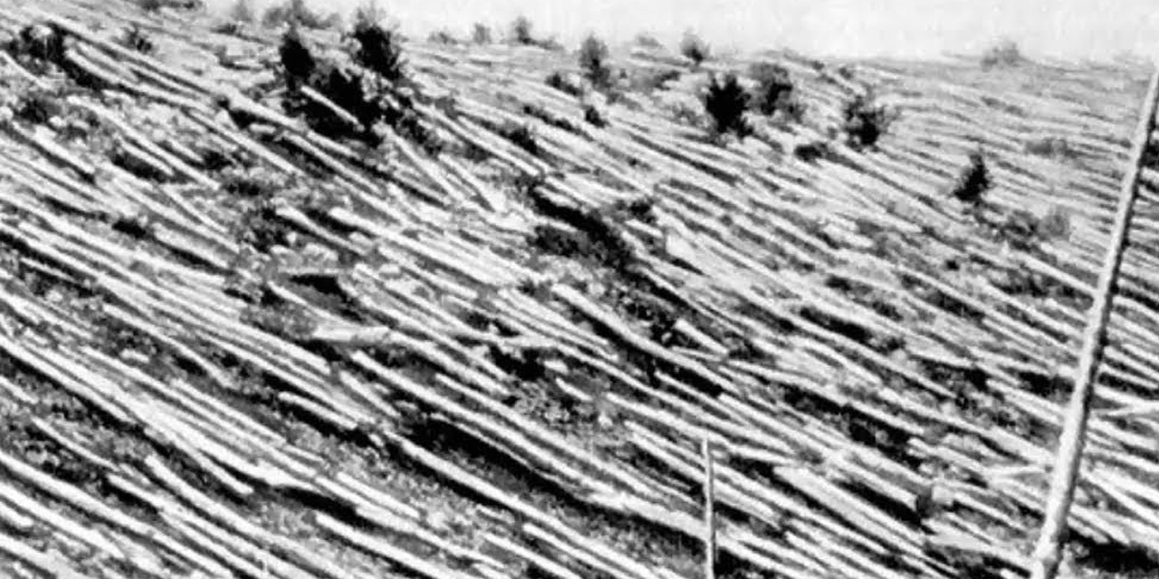tunguska-olayi.jpg