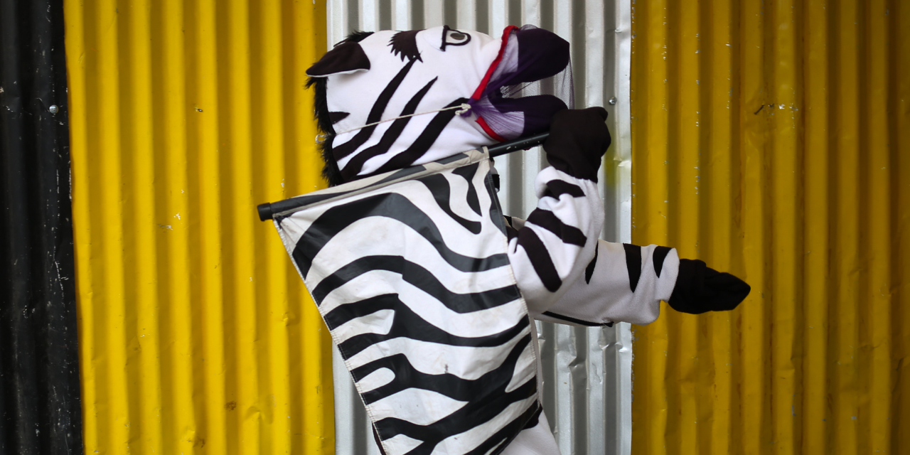 zebra-1.png
