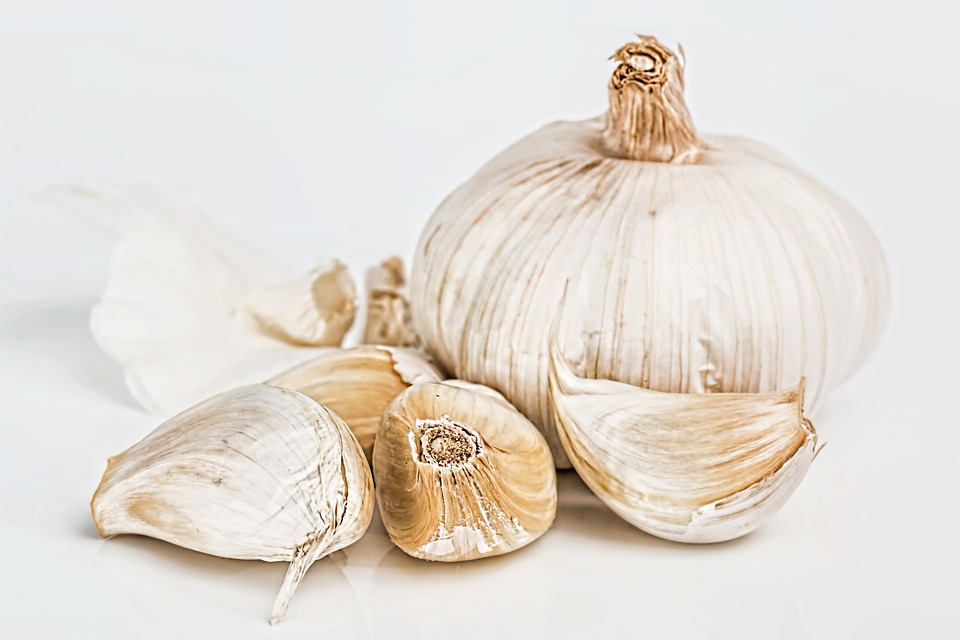 garlic-1726810-960-720.jpg