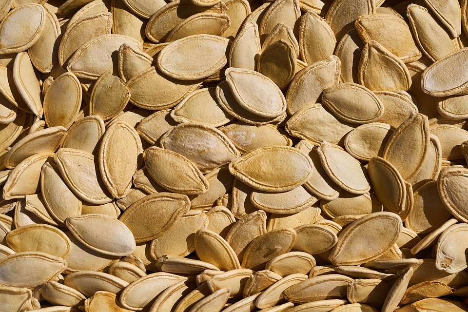 pumpkin-seeds-2728888-960-720.jpg