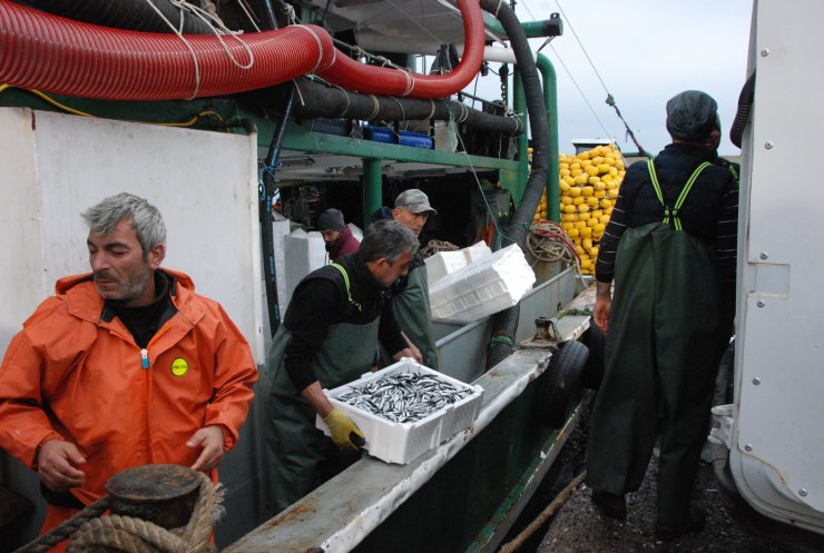 Amasra'da rötarlı hamsi avı başladı: 375 ton