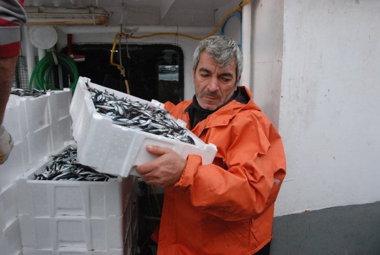 Amasra'da rötarlı hamsi avı başladı: 375 ton