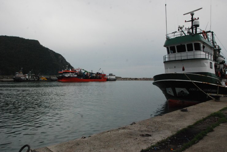 Amasra'da rötarlı hamsi avı başladı: 375 ton