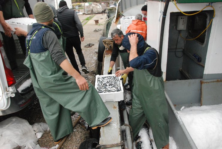 Amasra'da rötarlı hamsi avı başladı: 375 ton