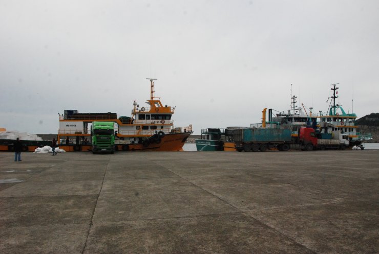 Amasra'da rötarlı hamsi avı başladı: 375 ton