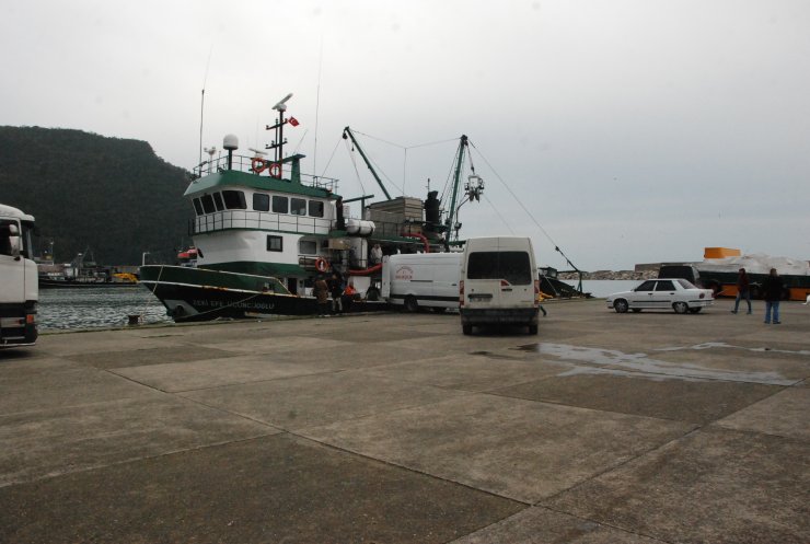 Amasra'da rötarlı hamsi avı başladı: 375 ton