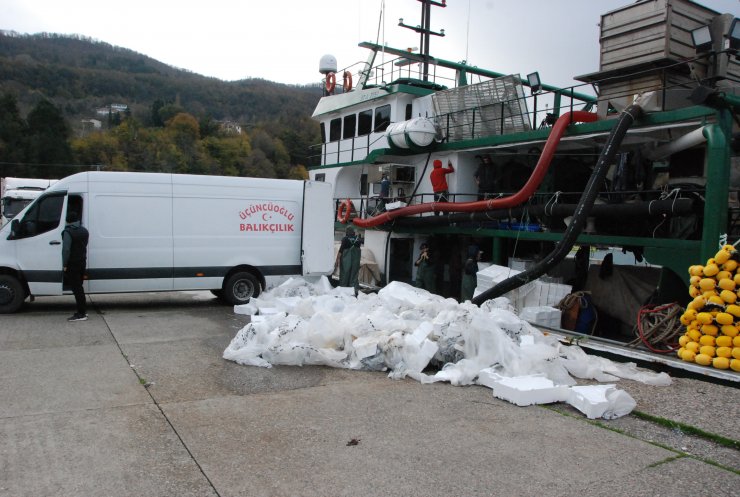 Amasra'da rötarlı hamsi avı başladı: 375 ton