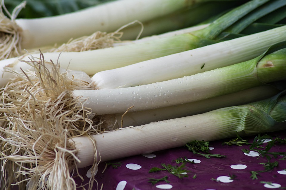 leeks-3776668-960-720.jpg