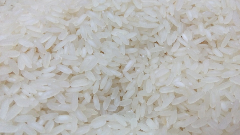 rice-398489-960-720-001.jpg