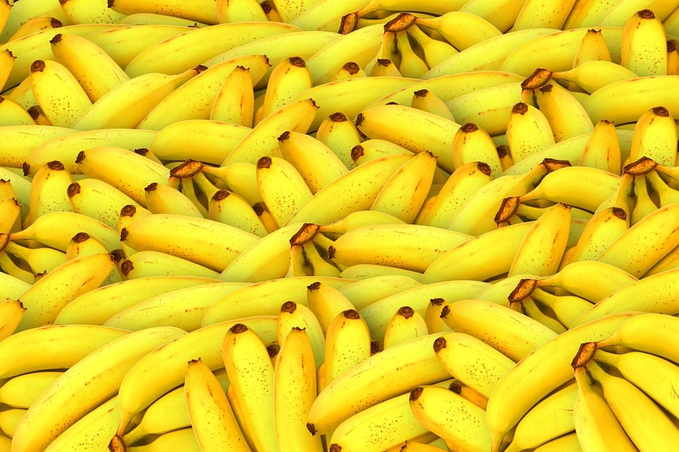 bananas-1119790-960-720.jpg