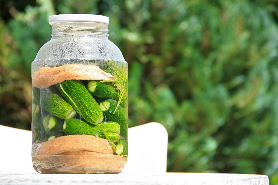 pickled-cucumber-1630906-960-720.jpg