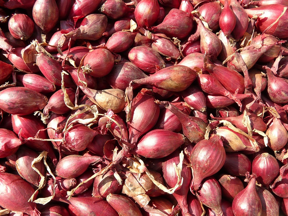 red-shallots-5768-960-720.jpg