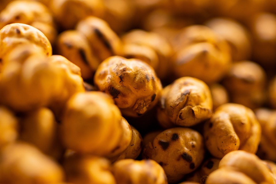roasted-chickpea-6757545-960-720.jpg