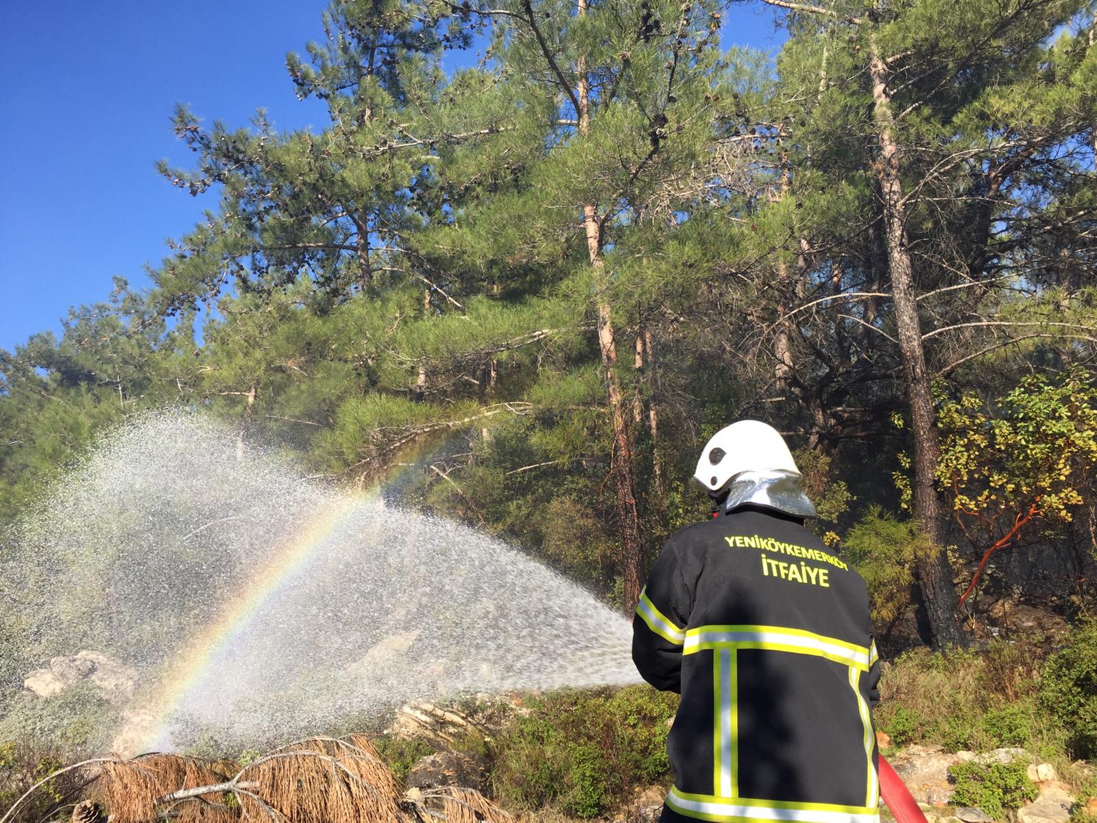aa-20230102-29896871-29896867-muglada-cikan-orman-yangini-sonduruldu.jpg