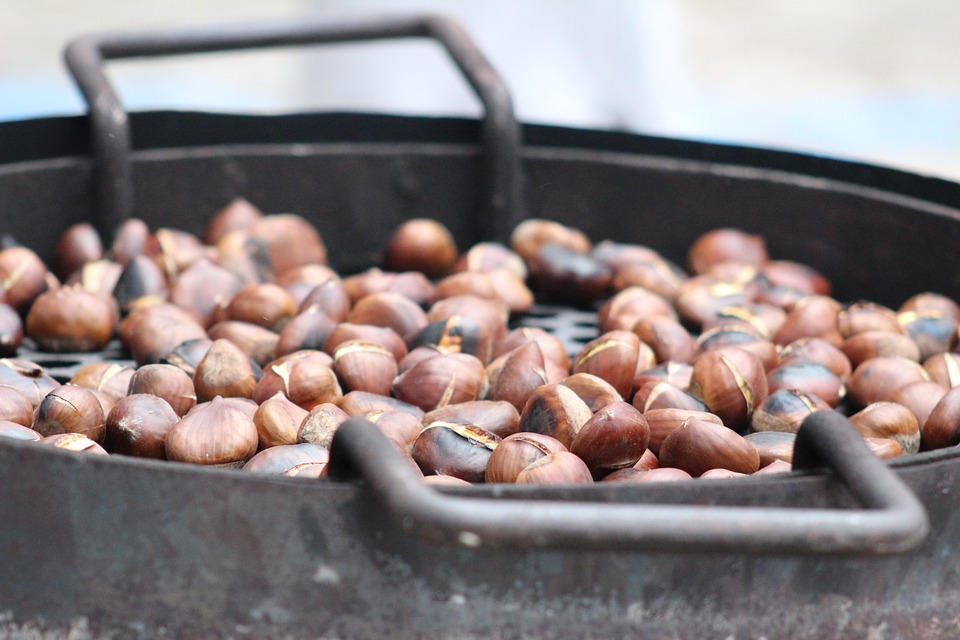 roasted-chestnuts-2881862-960-720.jpg